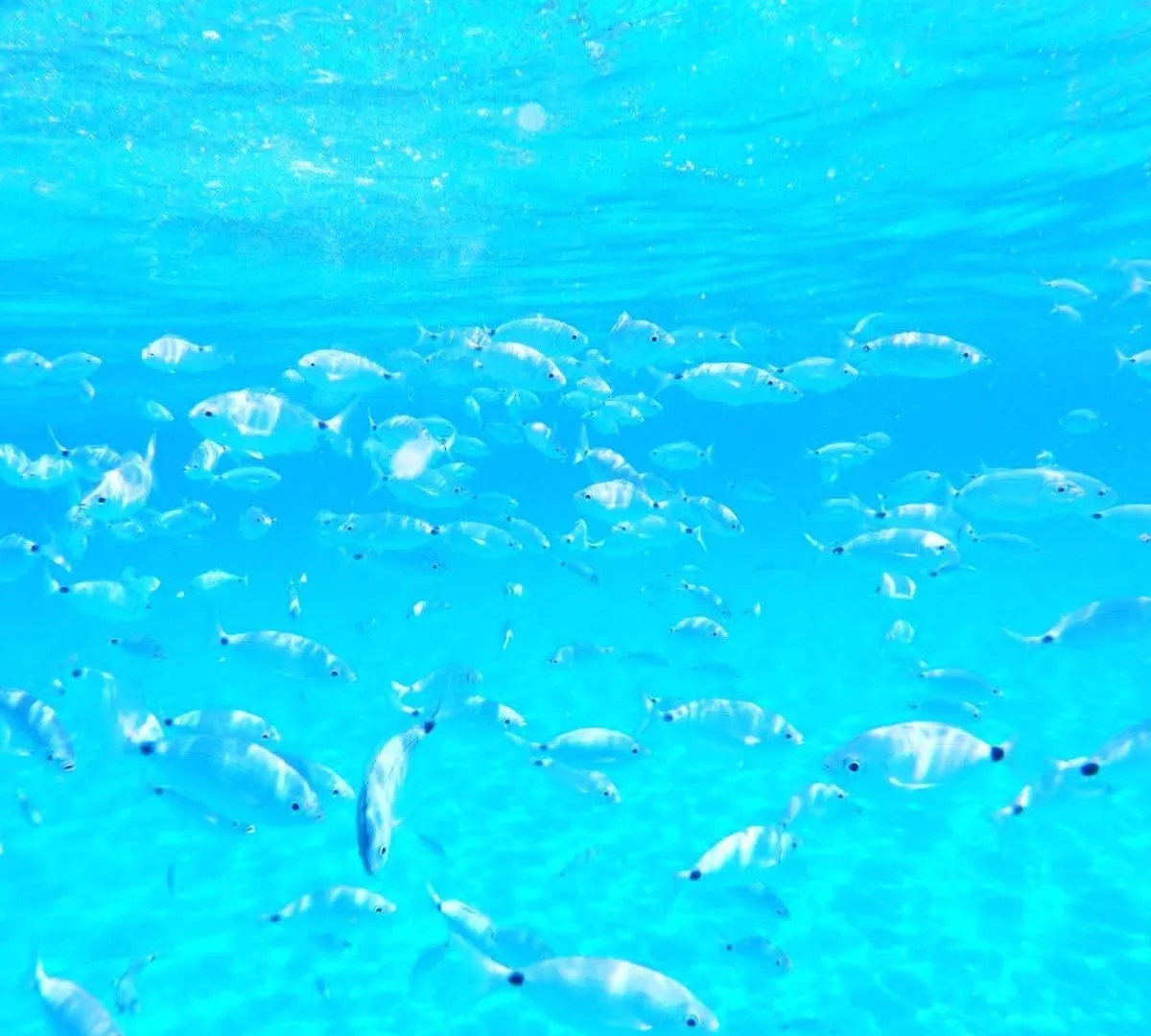 Casa Sirena Bestvacationever Villasimius 0*,